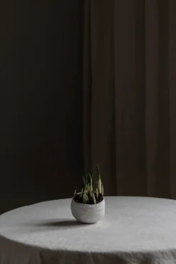 Bolle - Plaster Hvit