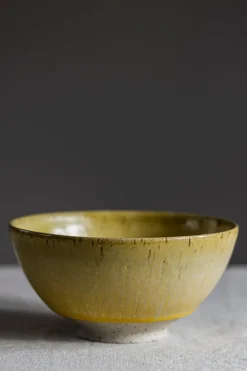 Bolle - Spring Bowl Crystal Daisy