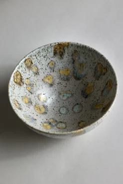 Bolle - Spring Bowl Harbor Seal