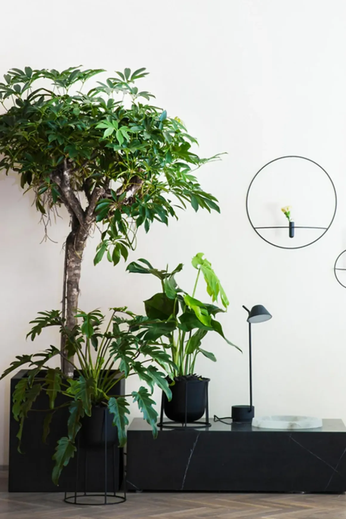 Bordlampe - Peek Black