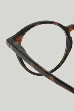 Briller - #D Tortoise