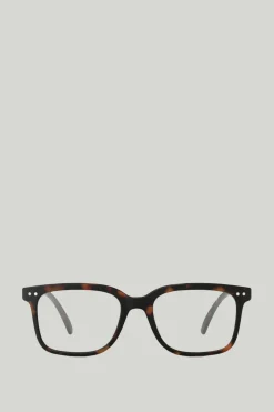 Briller - #L Tortoise