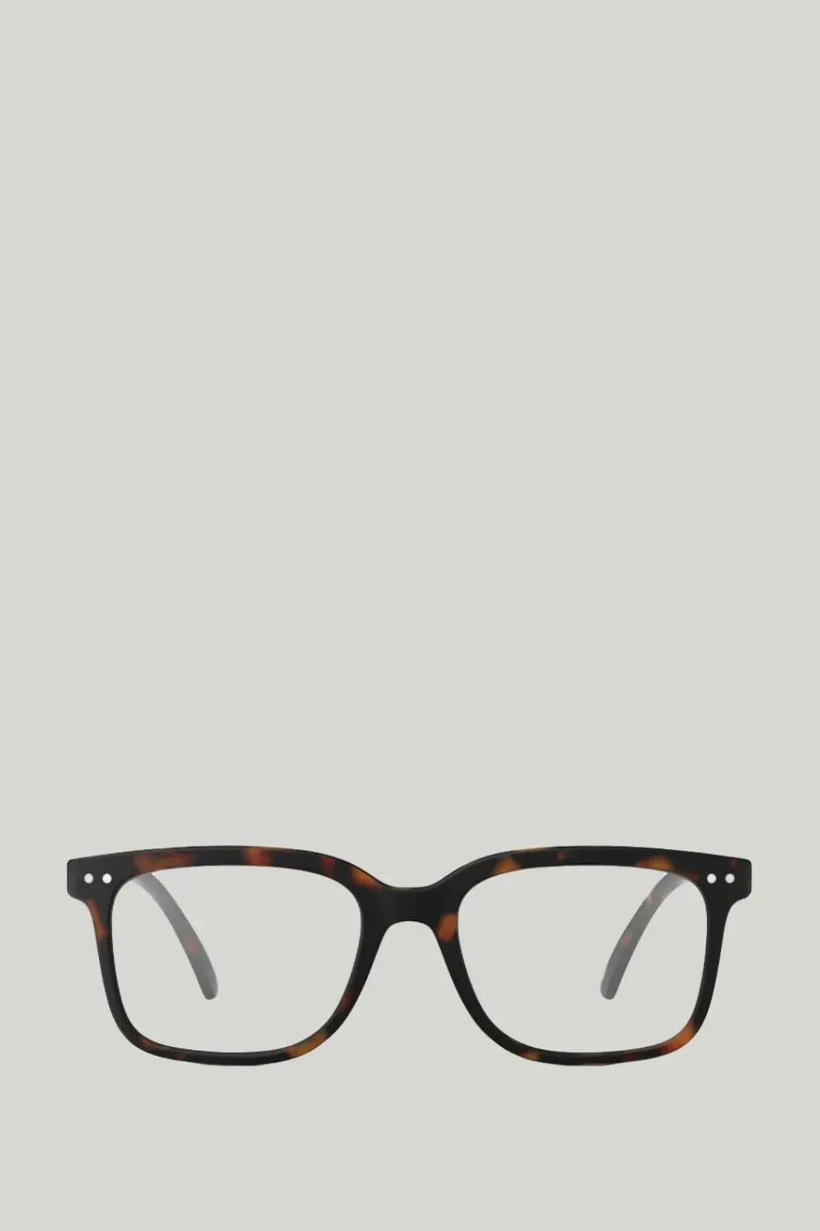 Briller - #L Tortoise