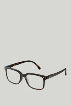 Briller - #L Tortoise