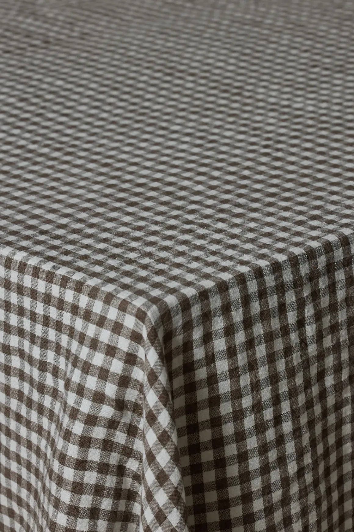 Duk - Brown Gingham