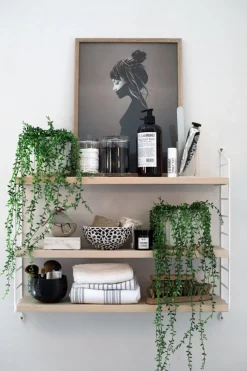 Hylle - Pocket 60x15xh50 Ask/Hvit