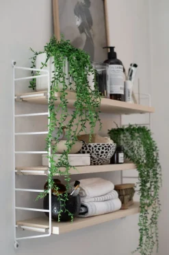 Hylle - Pocket 60x15xh50 Ask/Hvit