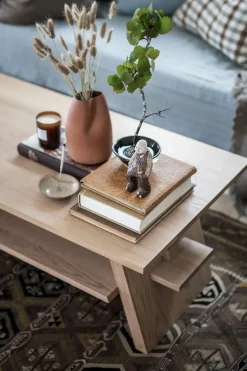 Kaffebord - Bolina 35 120x60xh40cm Lakkert Eik