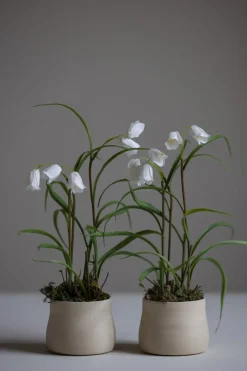 Kopp - u/Hank Naturlig Hvit