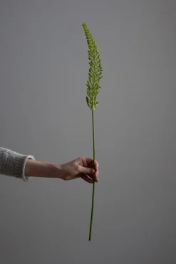 Kvist - Revehale 75cm