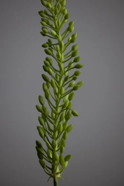 Kvist - Revehale 75cm