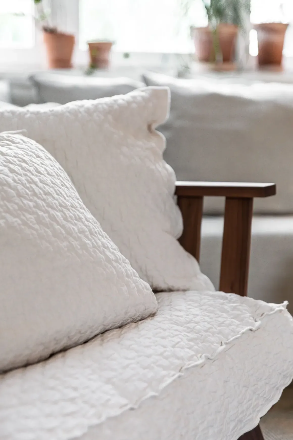 Lenestol - Gray 07 Winds Grecale