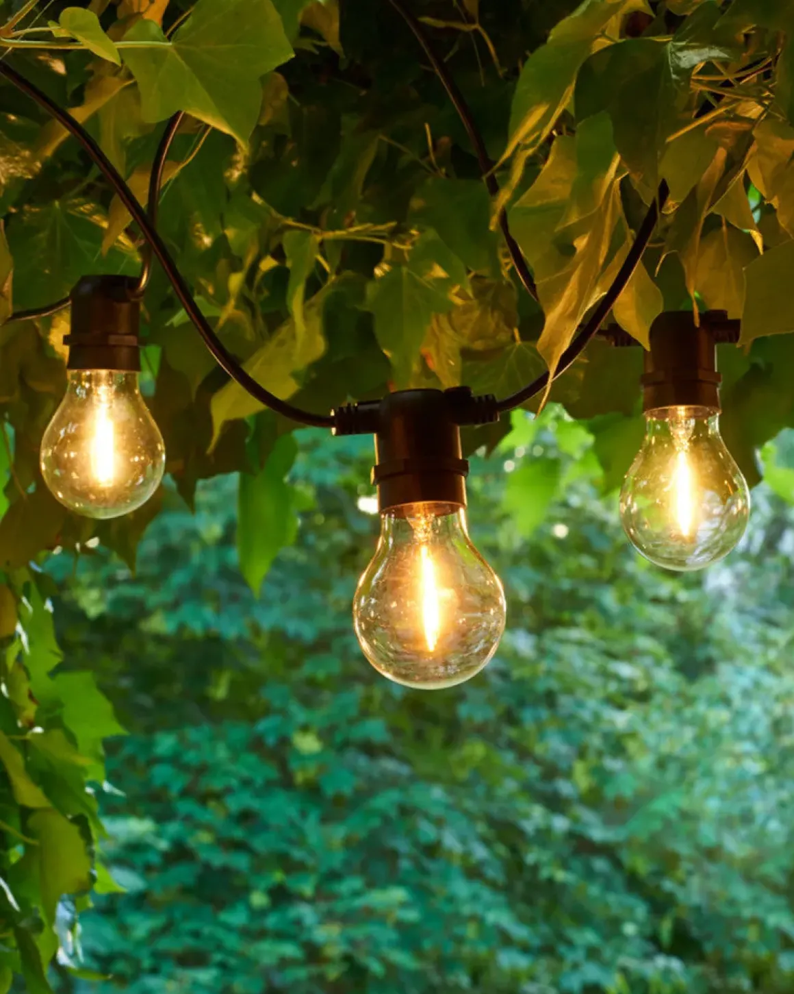 Lyslenke - Tobias 10L