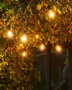 Lyslenke - Tobias 10L