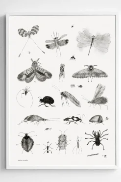 Plakat - Bugs 50x70cm