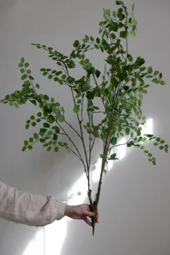 Plante - Bregne H113cm Grønn