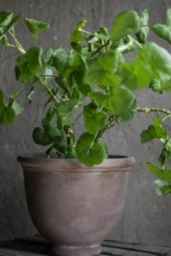 Potte - D21xH18cm Brun Terracotta