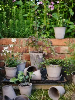 Potte - Københavner m/Skål Grå