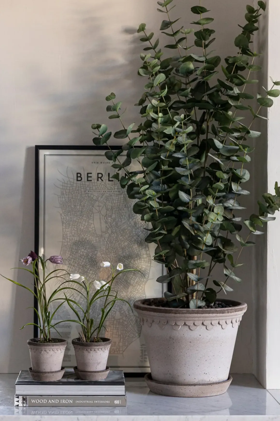 Potteplante - Eucalyptus H110cm