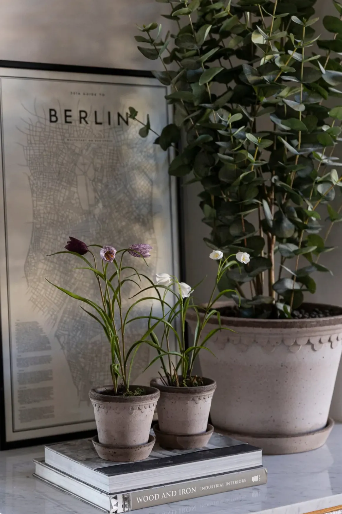 Potteplante - Eucalyptus H110cm