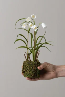 Potteplante - Frittillaria H25cm