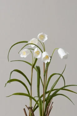 Potteplante - Frittillaria H25cm