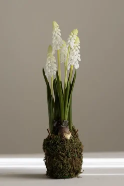 Potteplante - Perleblomst H25cm