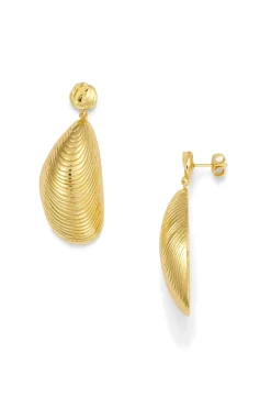 Øredobber - Moules Gold