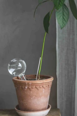 Selvvanningsglass - Olivia Rund  H26cm