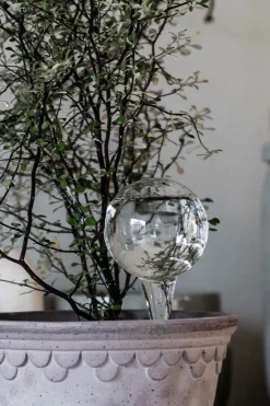 Selvvanningsglass - Olivia Rund  H26cm