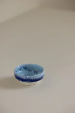 Skål - Dip Dish Dolphin