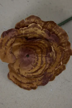 Sopp - Lackticka H53cm