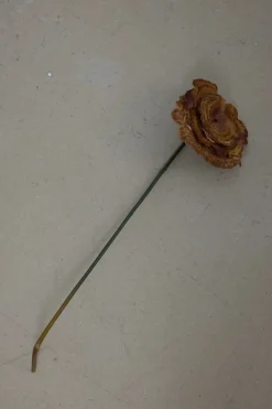 Sopp - Lackticka H53cm