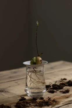 Spireplate - Avokado L Hvit