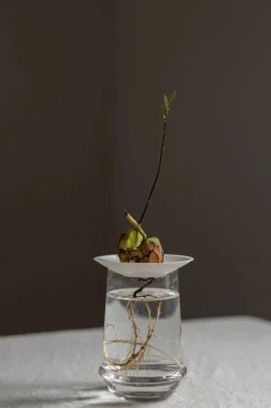 Spireplate - Avokado L Hvit