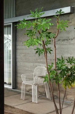 Spisestol - Thorvald Armchair SC95 Ivory