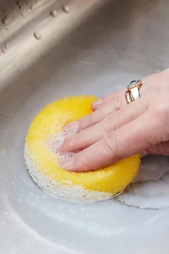 Svamp - Ekstra Svamp Til Vidunderkrem