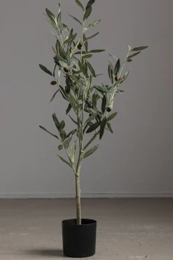 Tre - Oliven H90cm