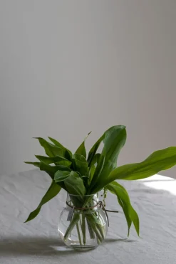 Vase - Glass H10cm Klar