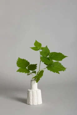 Vase | Molly Beige No3