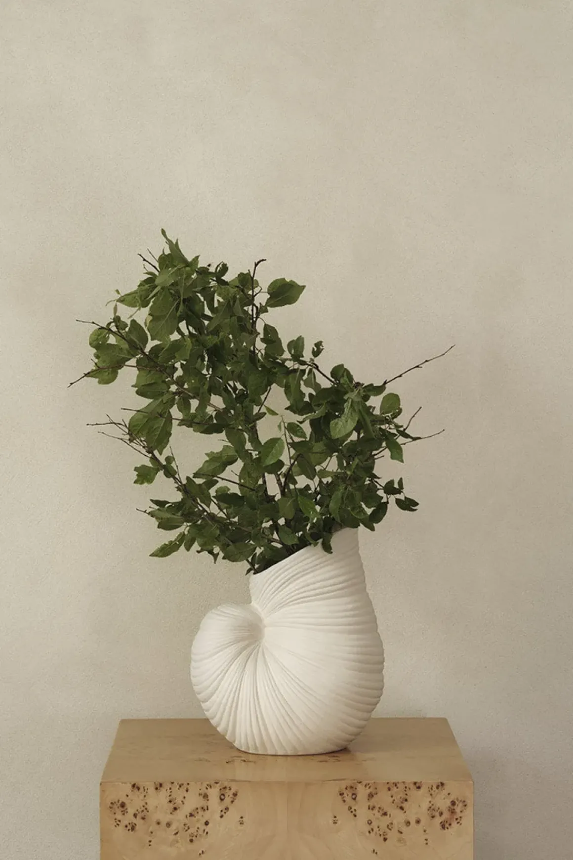Vase - Shell Off-White